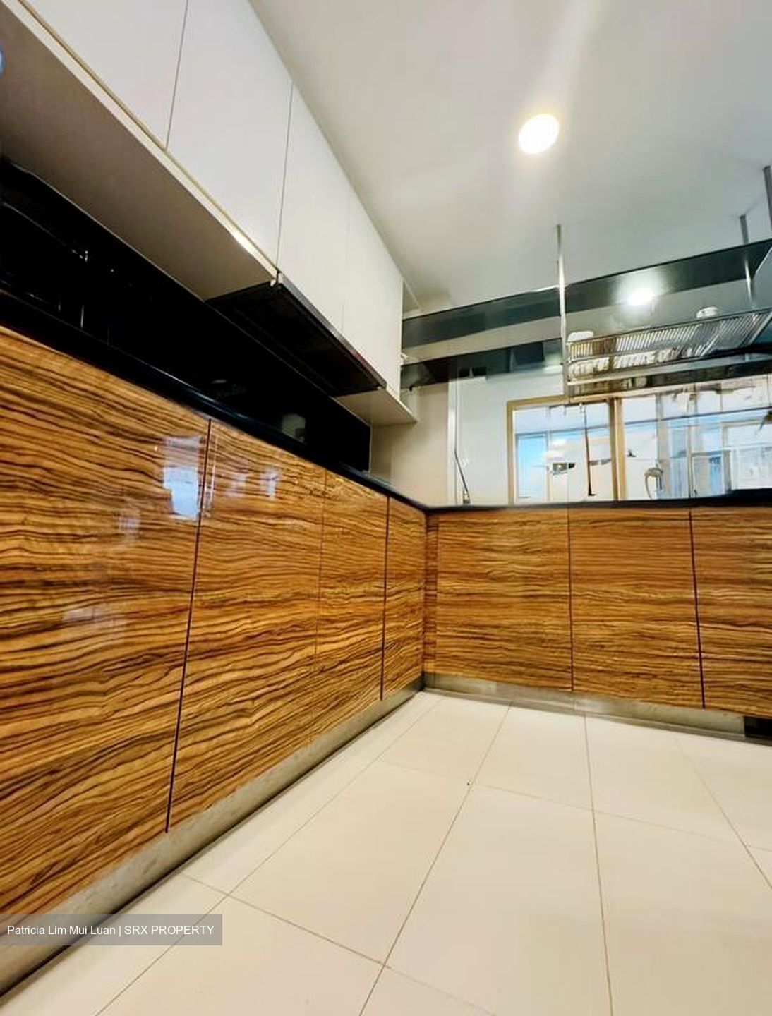 SilverSea (D15), Condominium #483618841